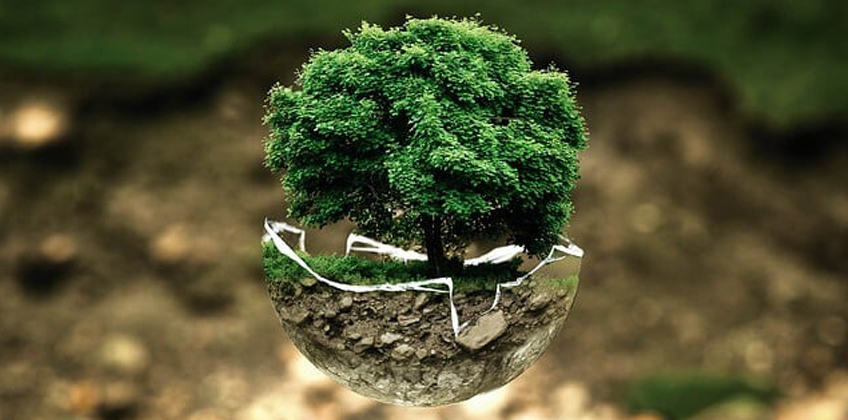 Sostenibilidad Ambiental