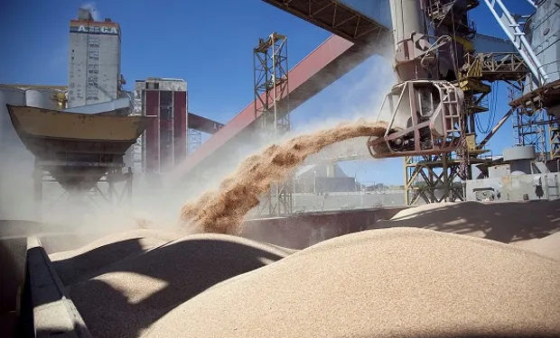 agroexportadoras