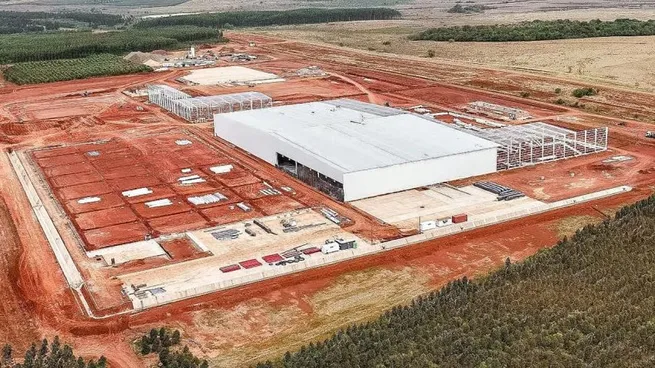 Exportaciones de madera: en Corrientes ya funciona el aserradero más grande del país