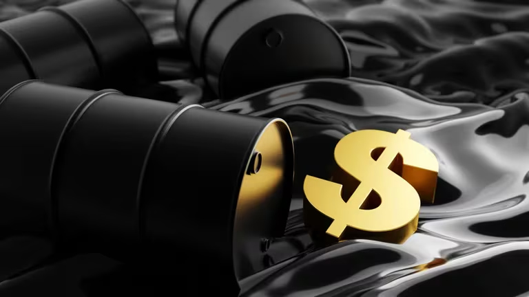 Argentina incrementó su participación en los mercados energéticos internacionales