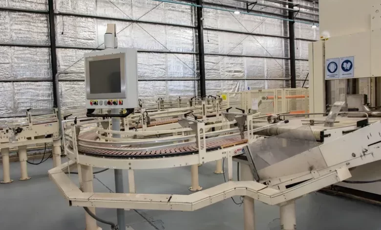 essity elige san juan para expandirse en argentina
