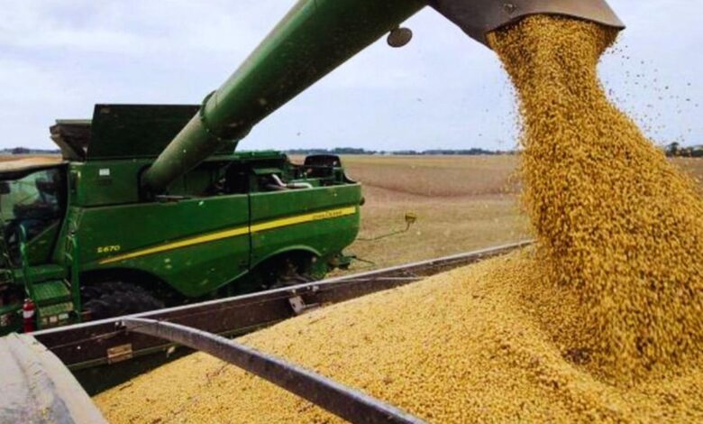 campo y retenciones este mes sí funcionó el dólar soja de caputo