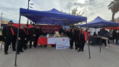 ong sanjuaninas se sumaron a la feria agroproductiva