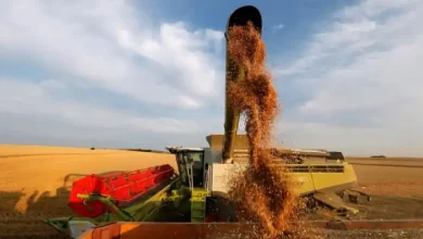 retenciones en el campo uno de cada cuatro camiones que se envía al puerto queda en manos del gobierno