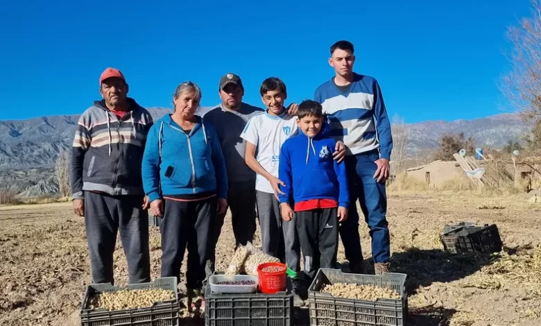 el calingastino que quiso ser abogado, pero se convirtió sin quererlo en el primer productor de maní en san juan
