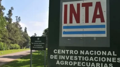 el inta, sin presupuesto para pagar servicios ni realizar tareas esenciales