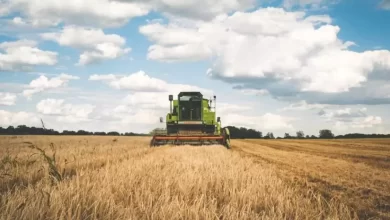 el campo se financia en dólares el 80% de los productores prefiere endeudarse en moneda dura