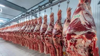 en julio volvió a subir el volumen exportado de carne, a un valor 39% mayor