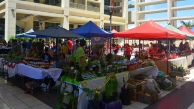 se realiza otra edición de la feria agroproductiva con productos frescos y sabor local