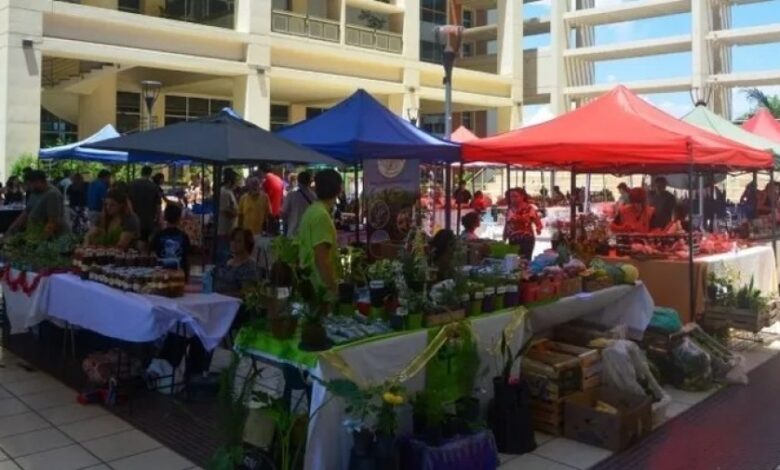 se realiza otra edición de la feria agroproductiva con productos frescos y sabor local