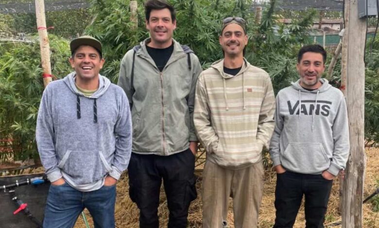 sembramos casas son emprendedores y con un cultivo crearon un supermaterial para la construcción