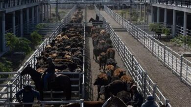 cierre de los mercados del 10 de septiembre