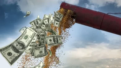 el agro se consolida como la actividad más importante de la economía uruguaya