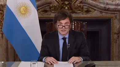 milei sí tiene plan de gobierno