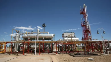 no es gas ni petróleo, el tesoro escondido de vaca muerta que permitirá exportar u$s5.000 millones al año