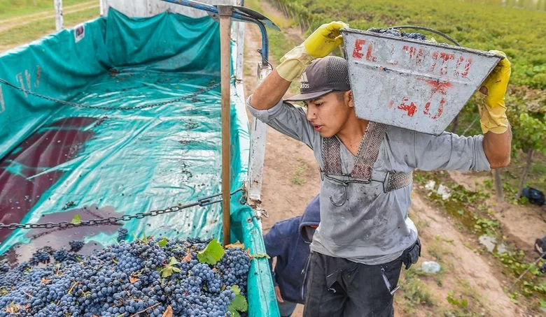 recuperación vitivinícola en san juan pasas y vinos fraccionados lideran el repunte