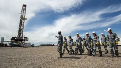 quiénes son los dueños del petróleo en argentina