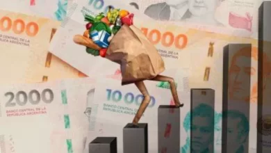 inflación en argentina 2025 balance de un año de desaceleración y desafíos económicos