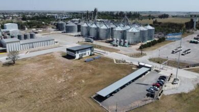invirtió $200 millones una cooperativa busca acompañar a sus productores en la sustentabilidad
