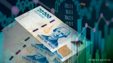 la inversión dormida del mercado argentino sociedad de bolsa proyecta una suba de más del 100%