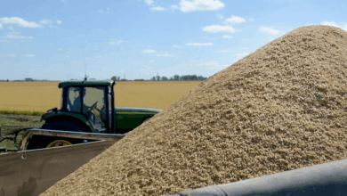 reforma tributaria los 12 incentivos fiscales que propone cra para impulsar la inversión del agro