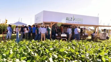 una pyme agroindustrial accedió a financiamiento del mercado con respaldo del cfi