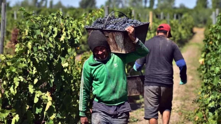 con sueldos que no superan los $700.000, trabajadores vitivinícolas de san juan apuntan a una paritaria más justa