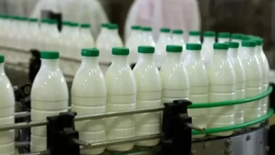 por qué colapsan o se achican los líderes de la industria láctea argentina como sancor, verónica o la paulina