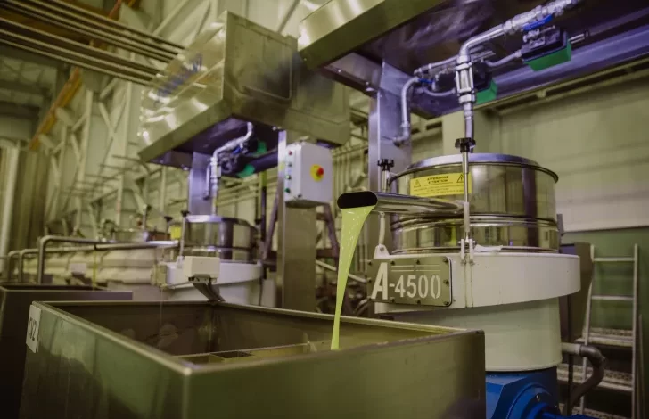 sanjuaninos crearon una aplicación que facilitará la exportación de alimentos a eeuu