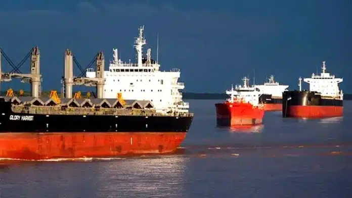 china compra us$ 9.700 millones y el agro explica casi todo el récord exportador argentino