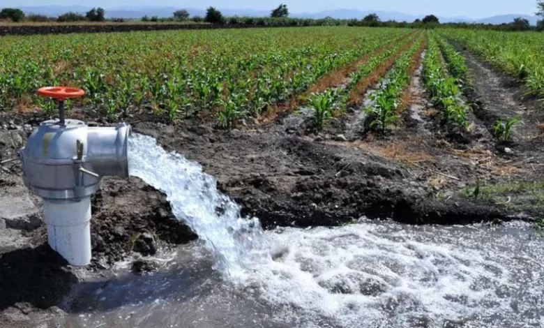 riego más barato en san juan bajan el iva de la luz a productores cuánto será el ahorro
