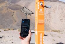 orden fiscal, reducción de impuestos y modernización del estado, los ejes de economía