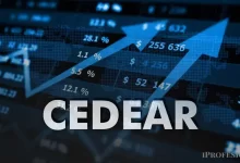 cedear de empresa líder argentina puede explotar hasta 50% en dólares, según expertos