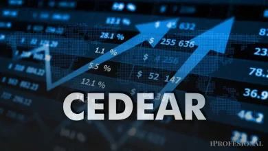 cedear de empresa líder argentina puede explotar hasta 50% en dólares, según expertos