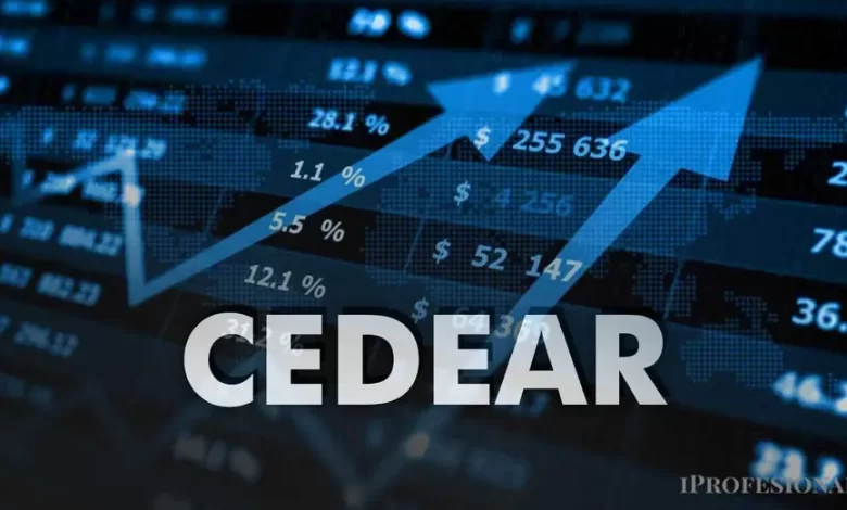 cedear de empresa líder argentina puede explotar hasta 50% en dólares, según expertos