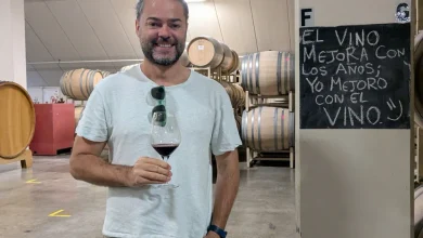 del viñedo de su abuelo a los mercados del mundo la historia del sanjuanino que apuesta por los vinos locales desde francia