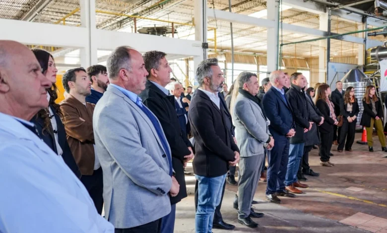 industria sanjuanina con contrastes qué sectores la pasan difícil y cuáles empiezan a crecer, según dos miradas
