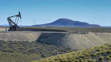 pae presentó un rigi por u$s1.200 millones para hacer 100 pozos de petróleo convencional en cerro dragón