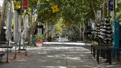 paro de colectivos en san juan el comercio perdió 70% de movimiento y piden sanciones